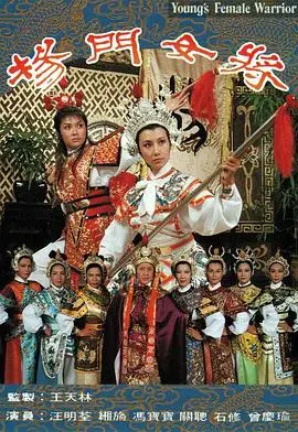 巾帼不让须眉!《杨门女将》:家国情怀下的女性史诗,热血燃爆你的爱国魂!